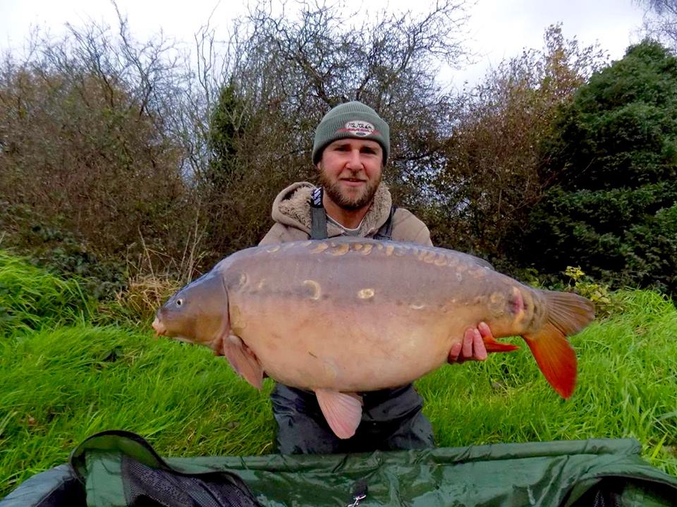 30lb+ carp