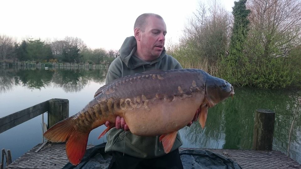 31lb 4oz