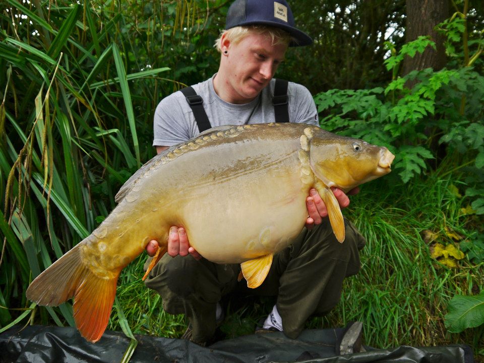 24lb+ mirror carp Furzebray lakes