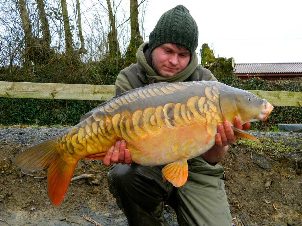 24lb+ mirror carp Furzebray lakes