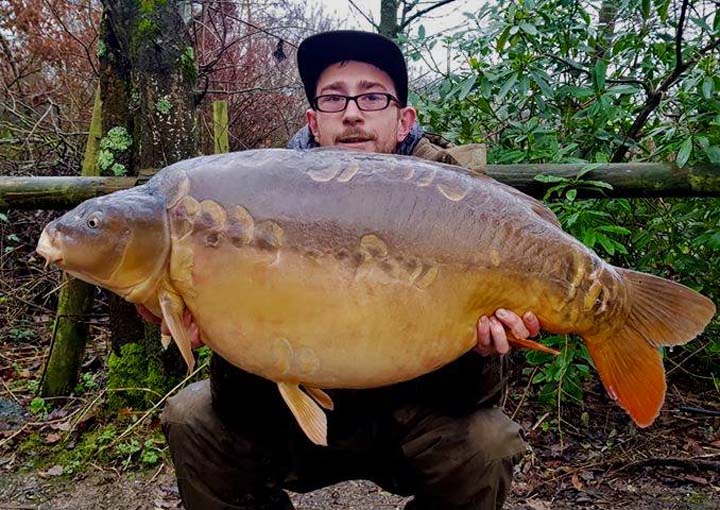 Clover 45lb