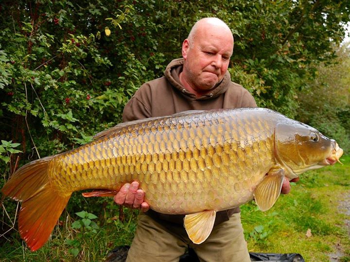 Anjies Common 32lb
