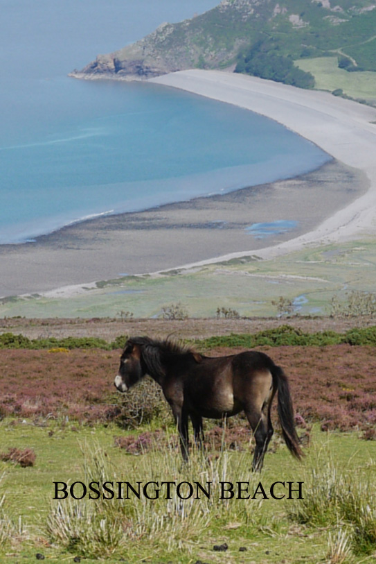 Bossington beach