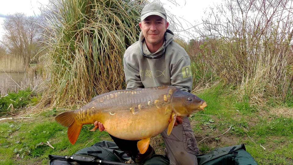 Dropscale 37.04lb