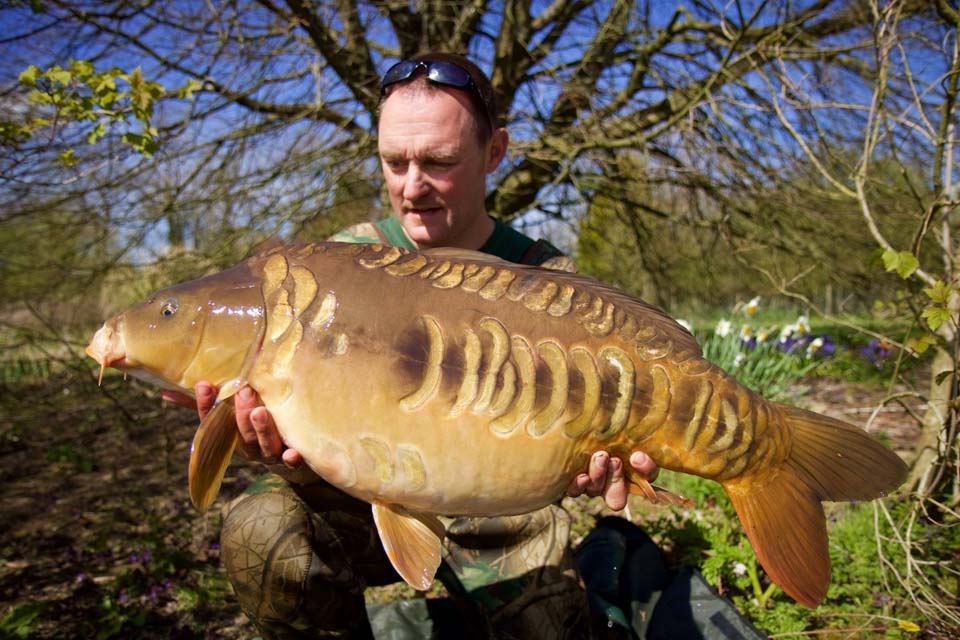 Tiger Fish 27lb12oz