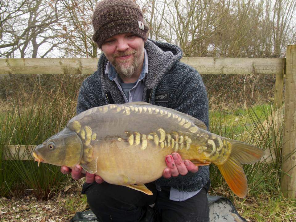 Willow Fish