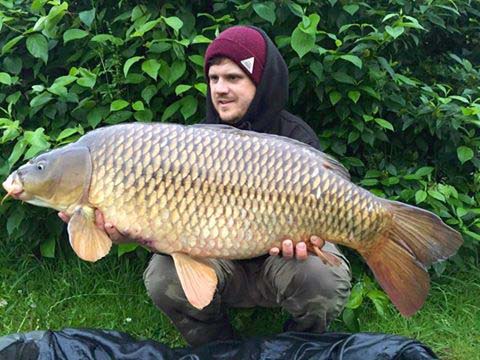 The Mint Common 29.12lb