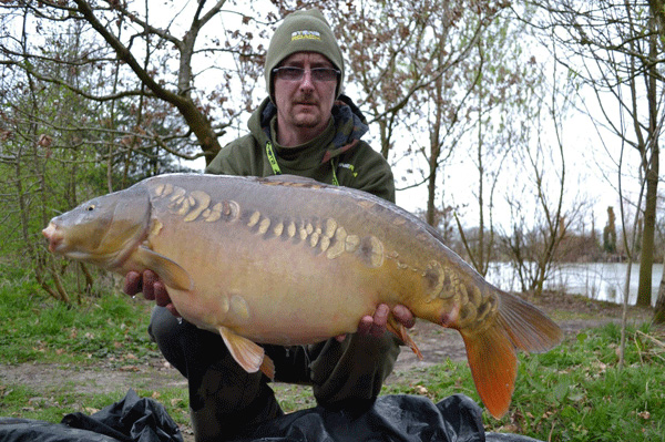 Random Linear 28lb 12oz