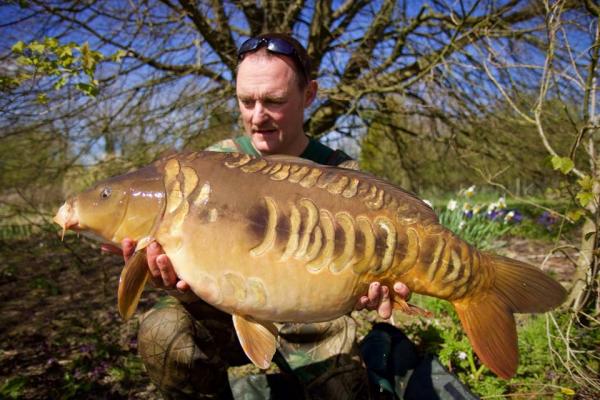 Tiger Fish 27lb 12oz