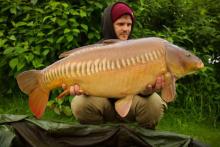 The Big Zip 25.2lb